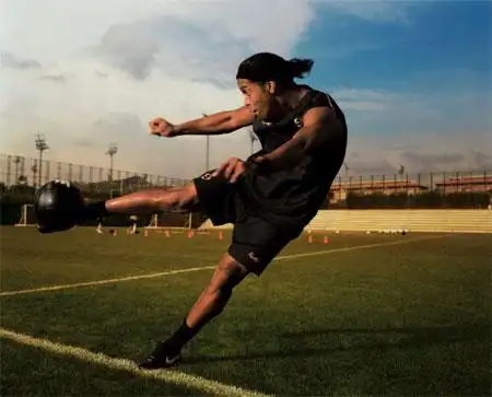 们新的乐园 们新的乐园