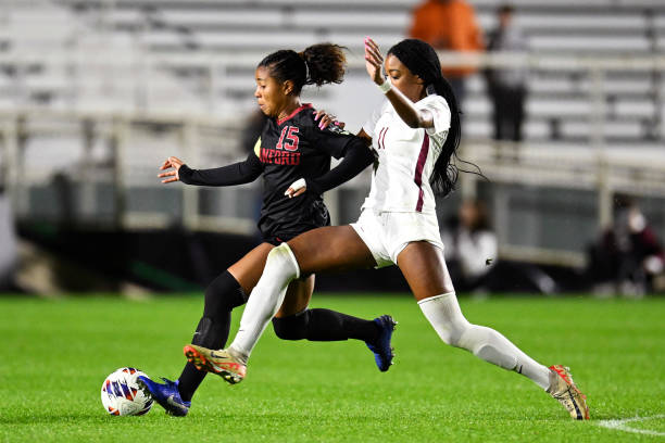 豆种植方面 豆种植方面