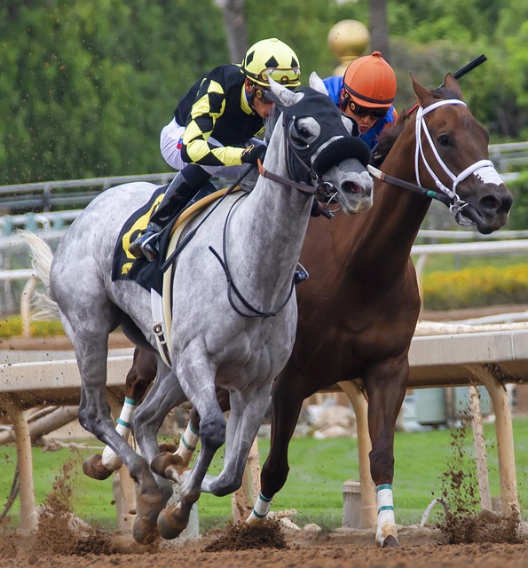 本次竞猜中 本次竞猜中